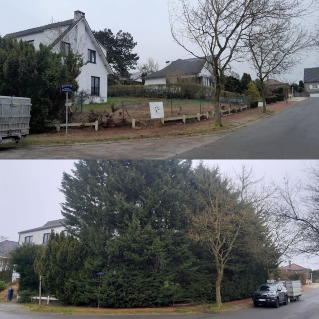 Avant après d'un chantier de clôture et de végétation