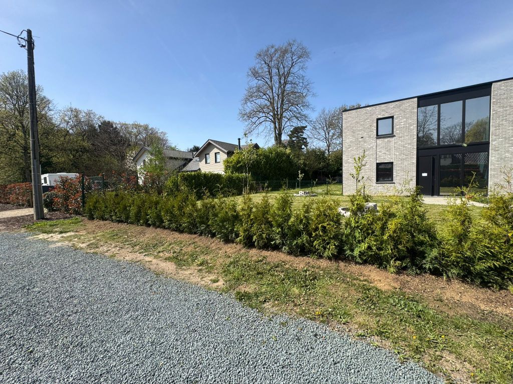 Plantations et aménagement paysager devant une maison contemporaine
