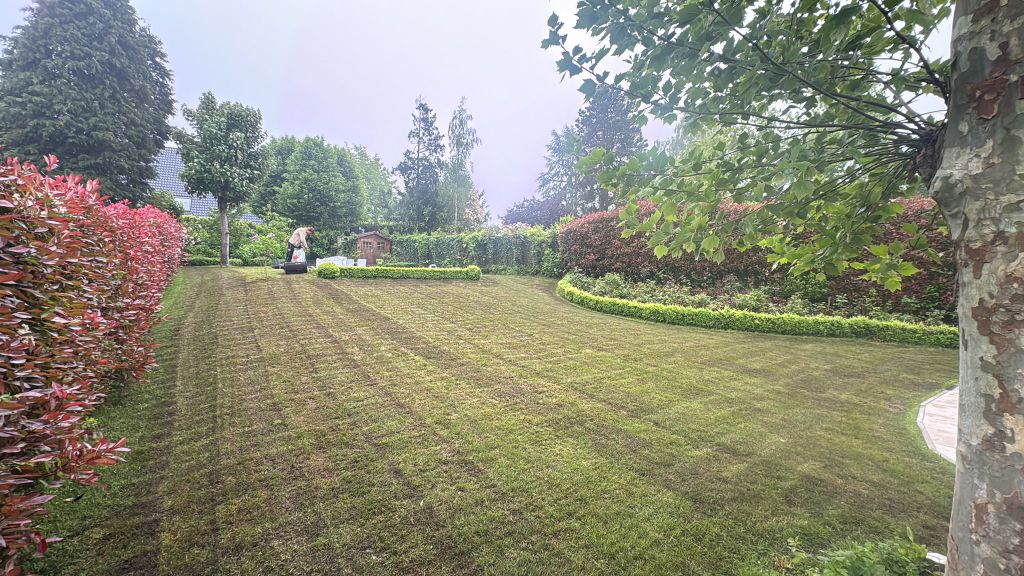 Entretien soigné d'un grand jardin réalisé par Naturalife