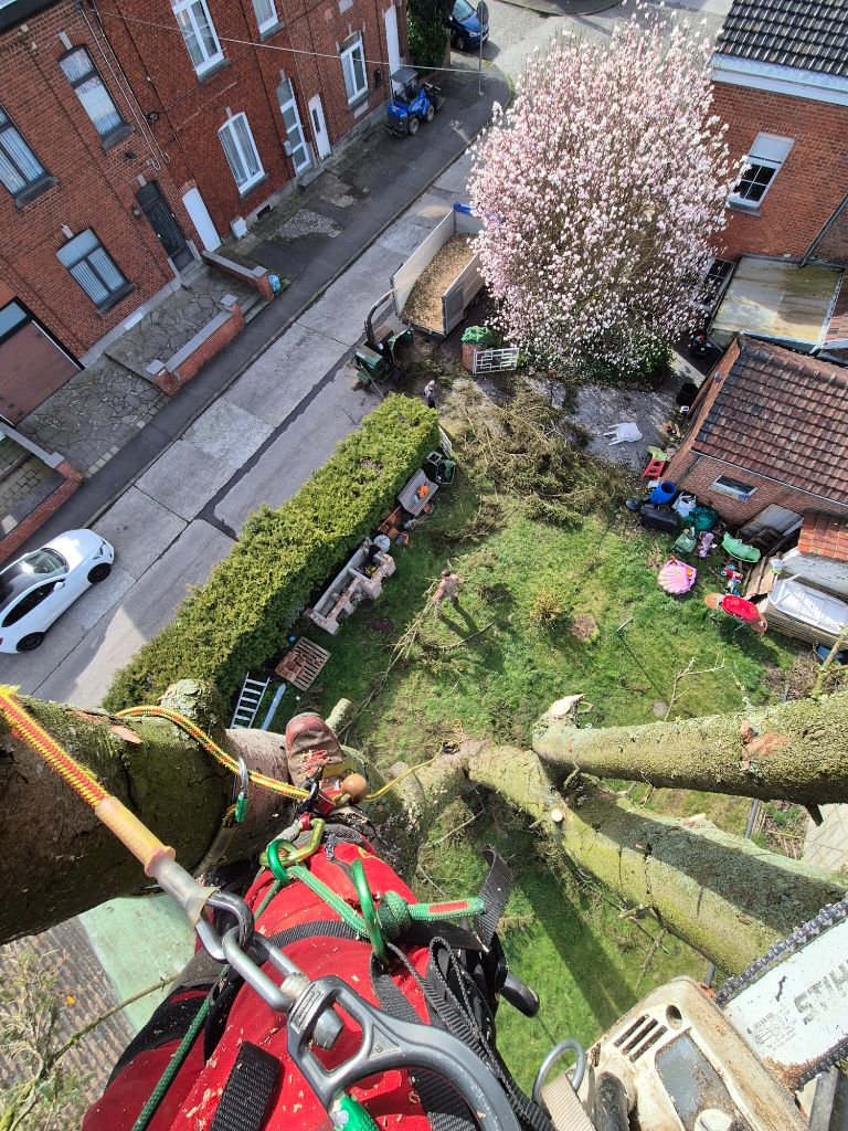 Vue en hauteur sur un chantier d'élagage technique